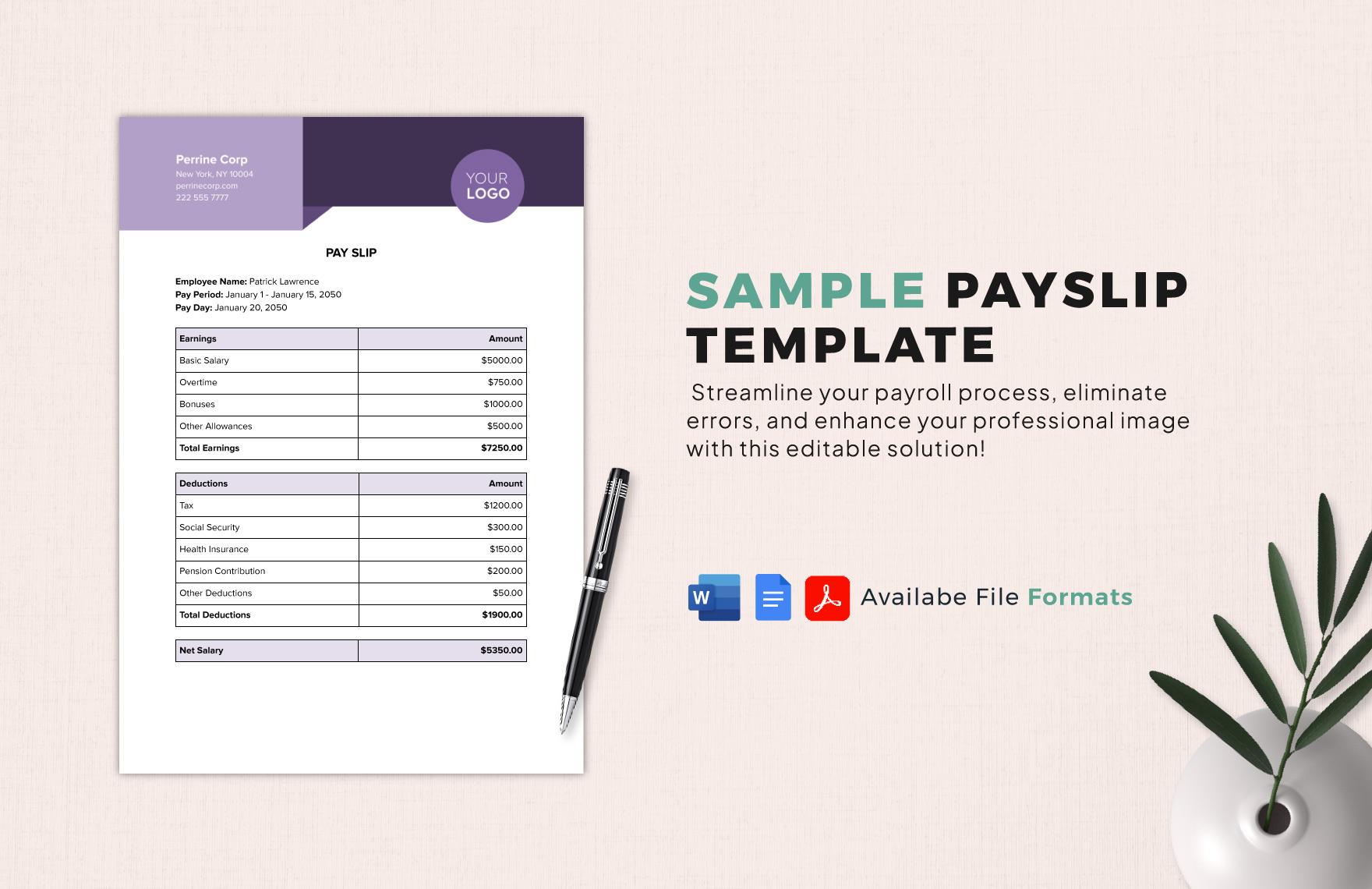 Sample Payslip Template