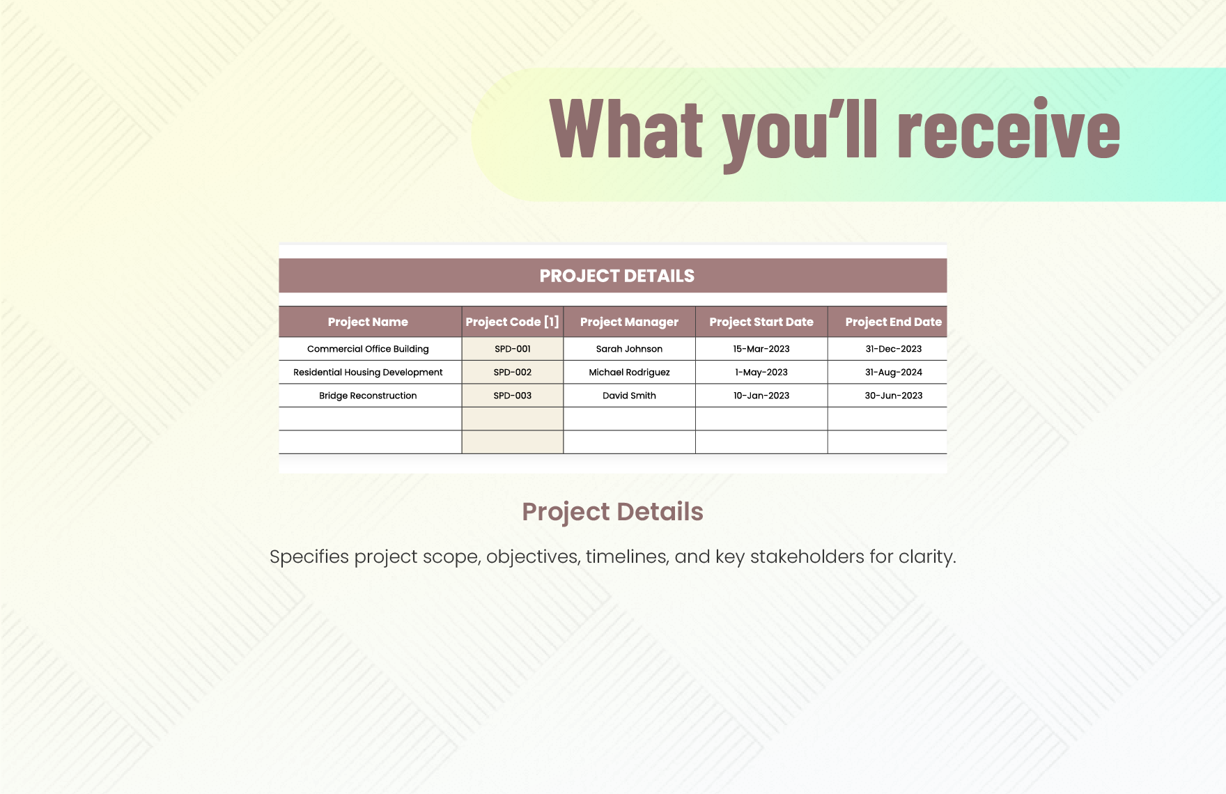 Project Accounting Template