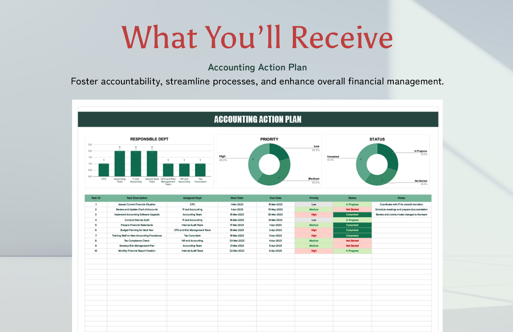 Accounting Action Plan Template
