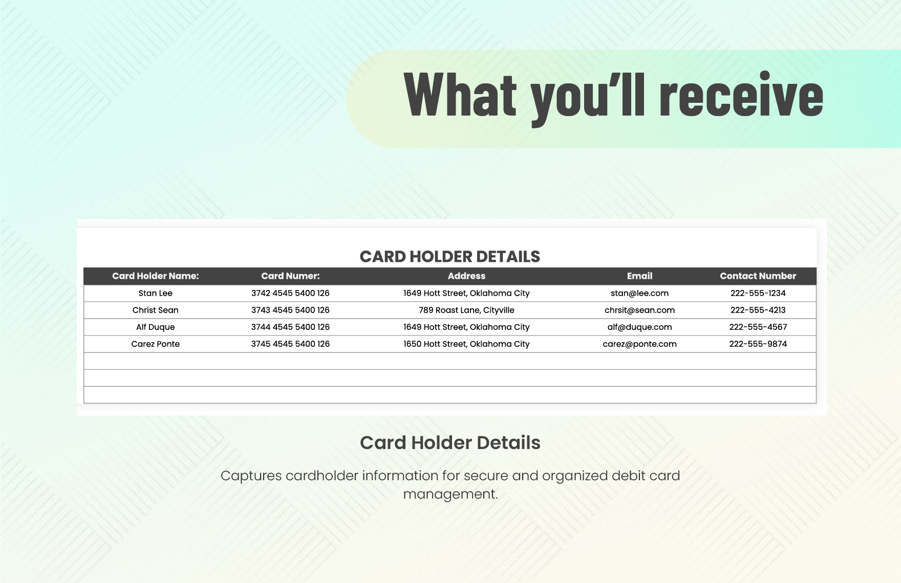 Debit Card Accounting Template