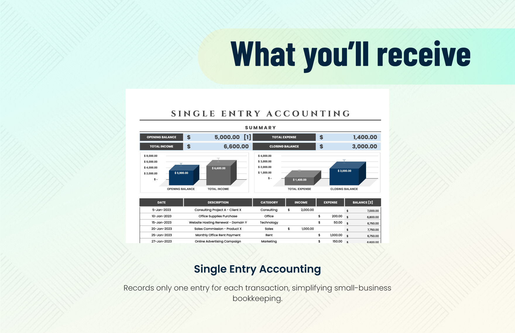 Single Entry Accounting Template