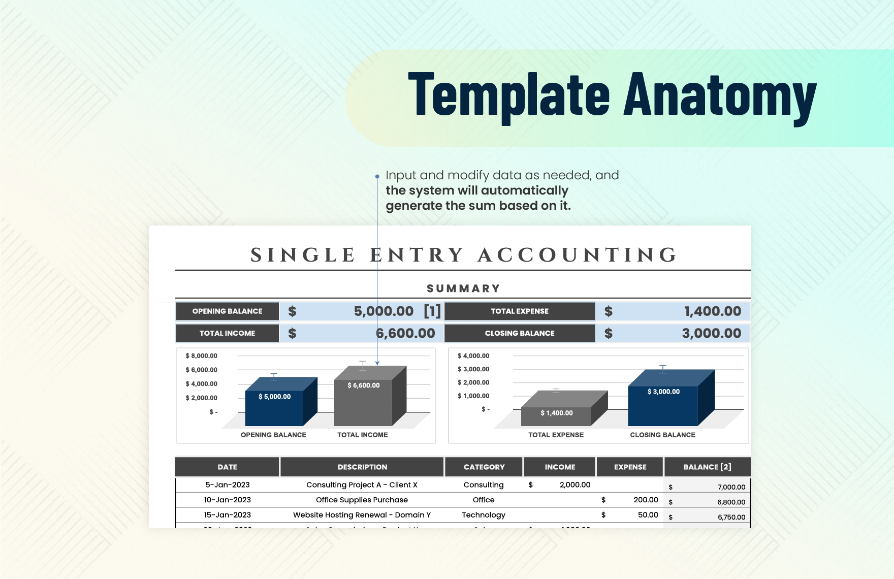 Single Entry Accounting Template
