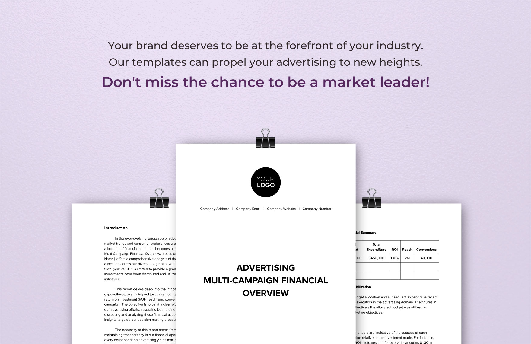 Advertising Multi-Campaign Financial Overview Template