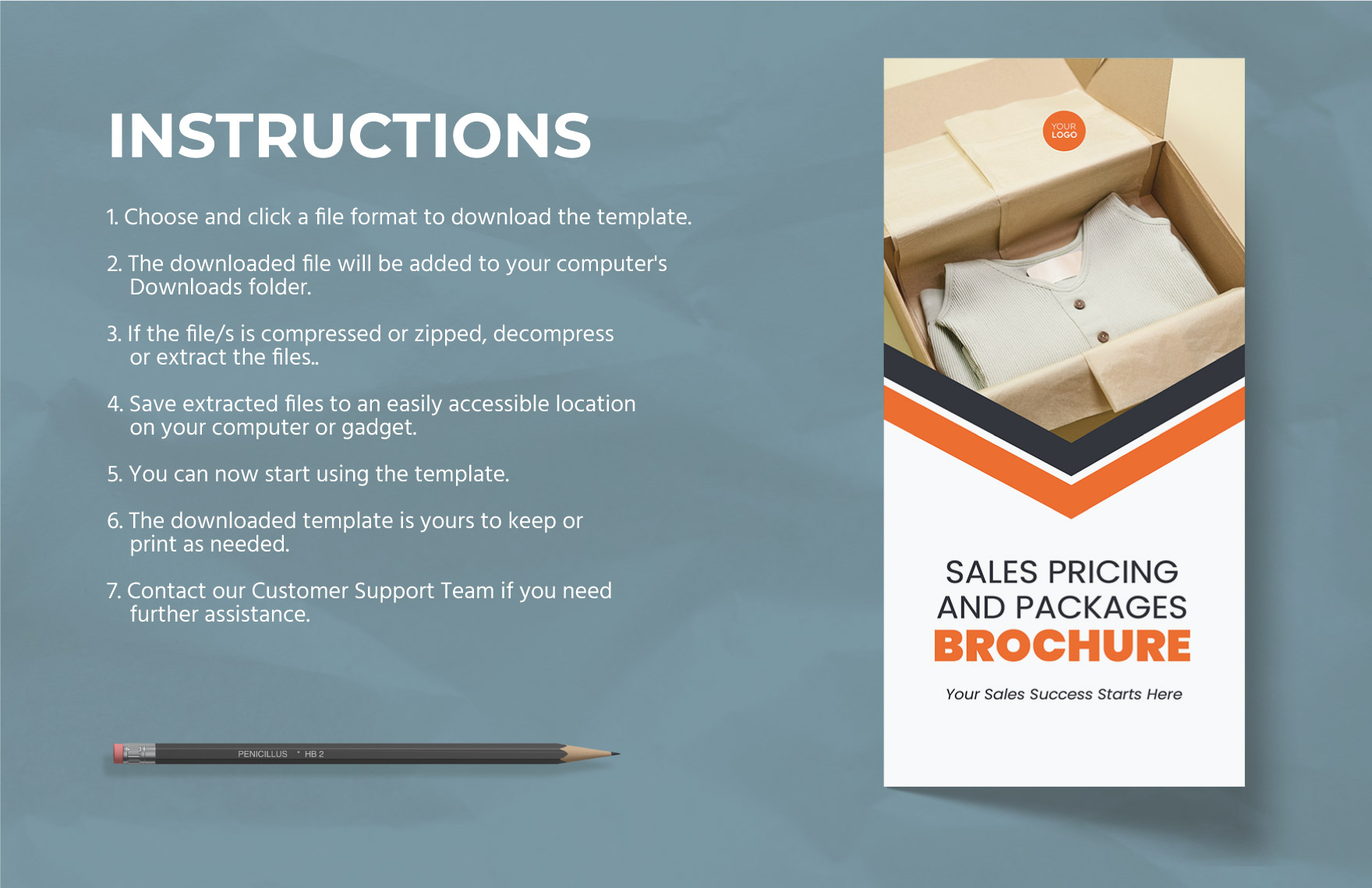 Sales Pricing and Packages Brochure Template