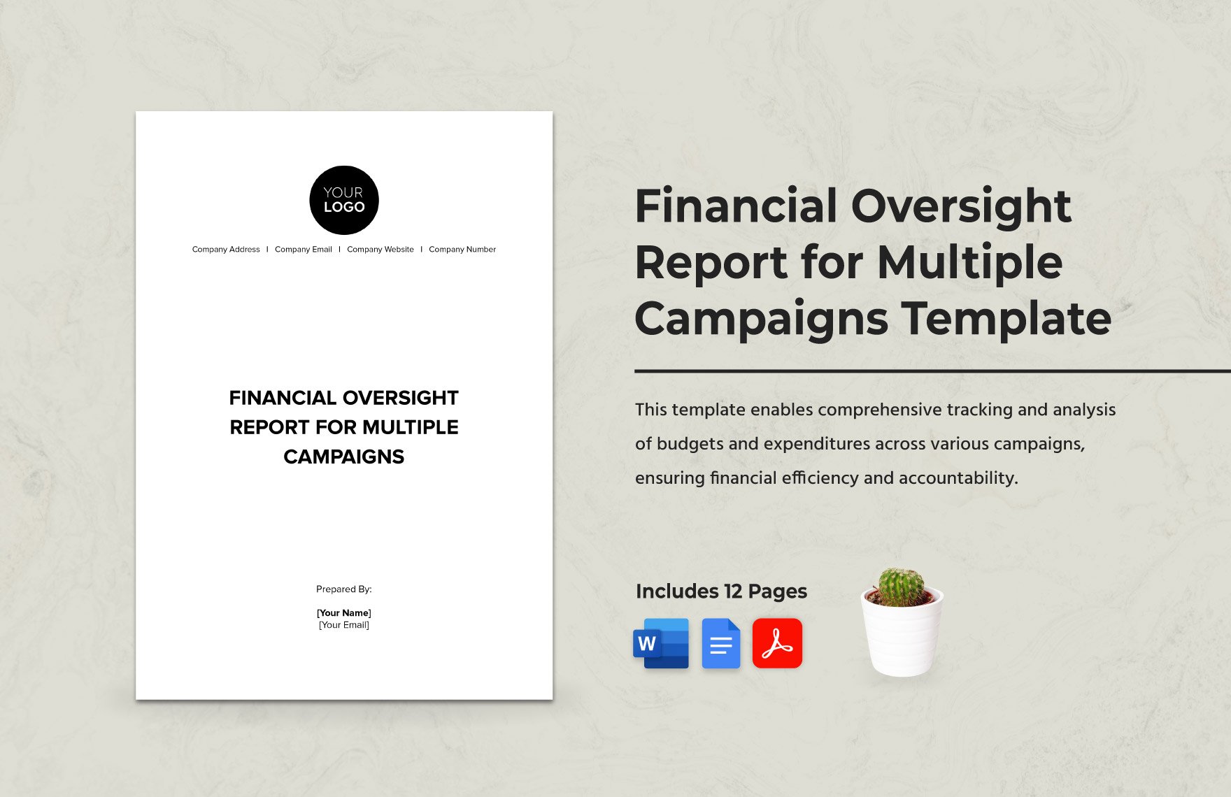 Financial Oversight Report for Multiple Campaigns Template
