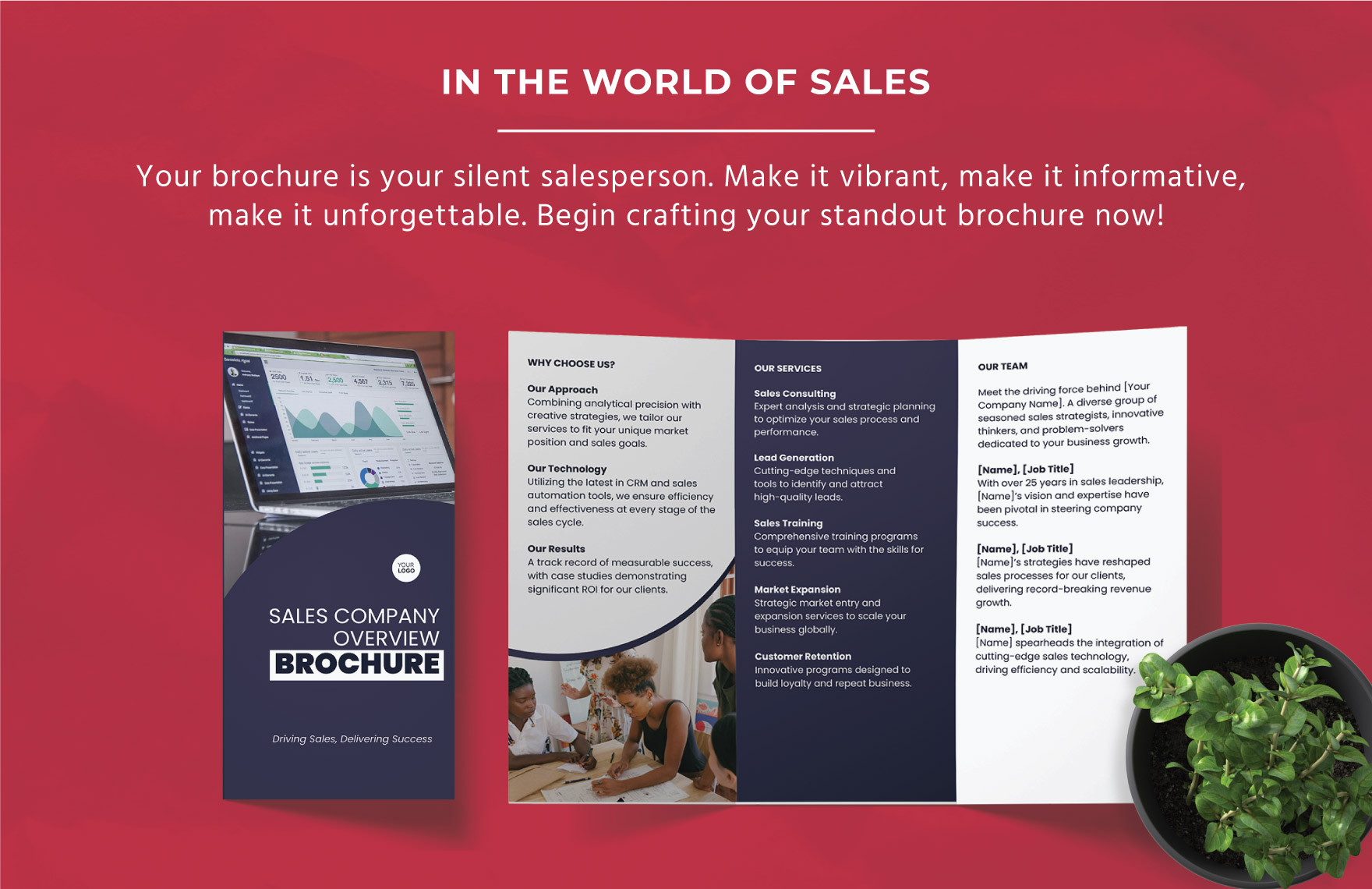 Sales Company Overview Brochure Template
