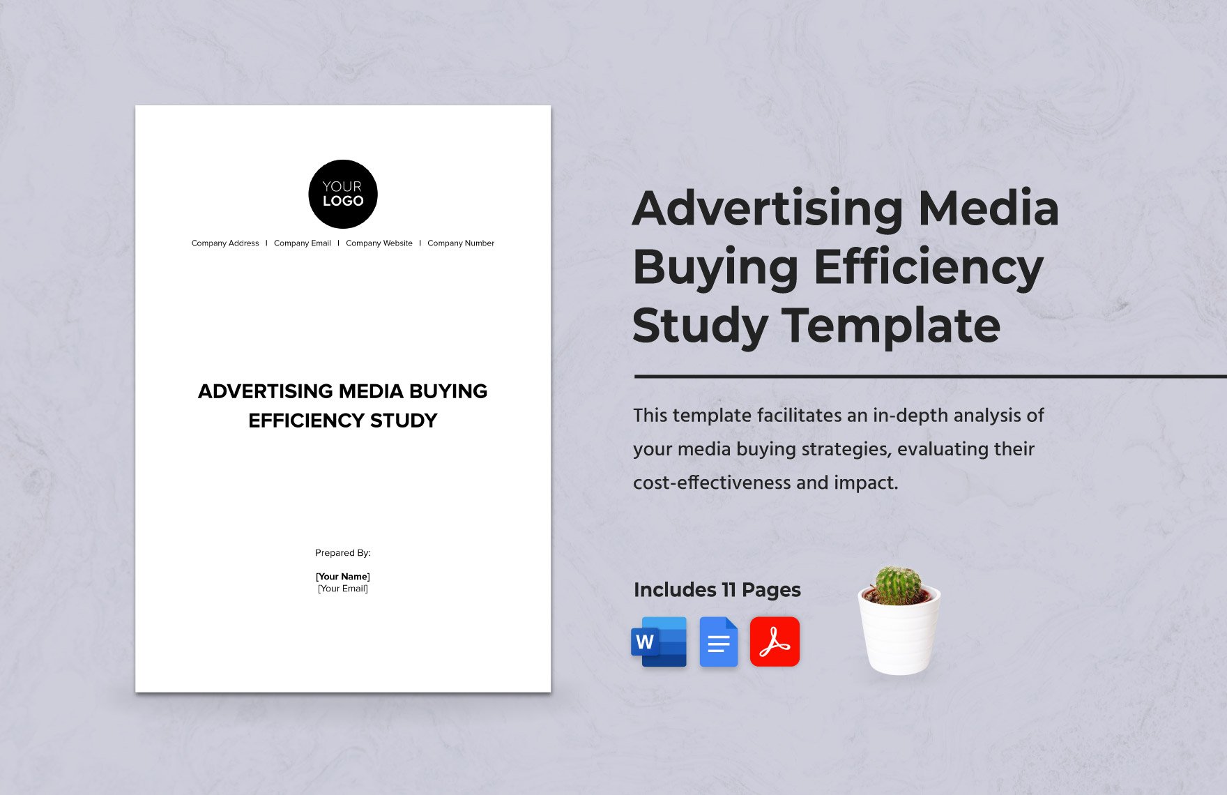 Advertising Media Buying Efficiency Study Template in Word, Google Docs, PDF