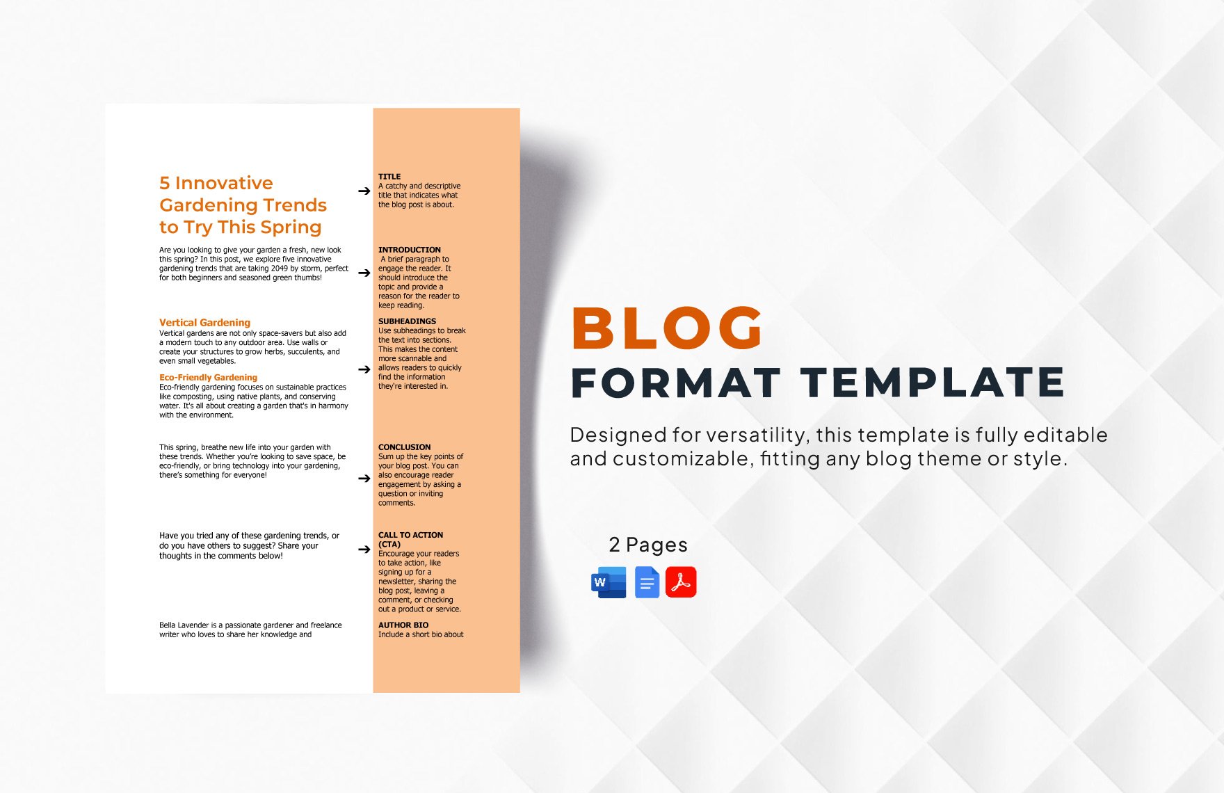 Blog Format Template