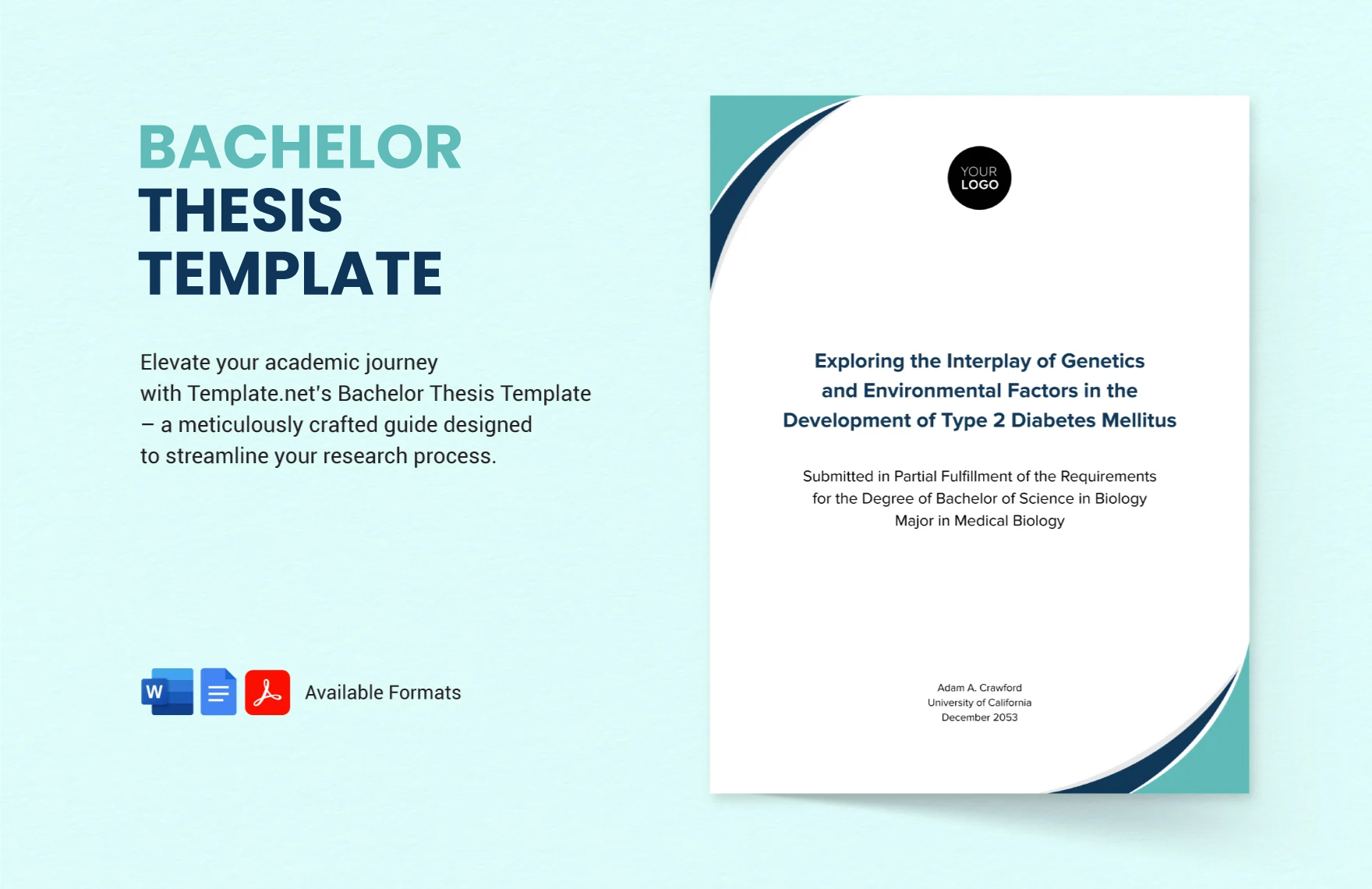 Bachelor Thesis Template