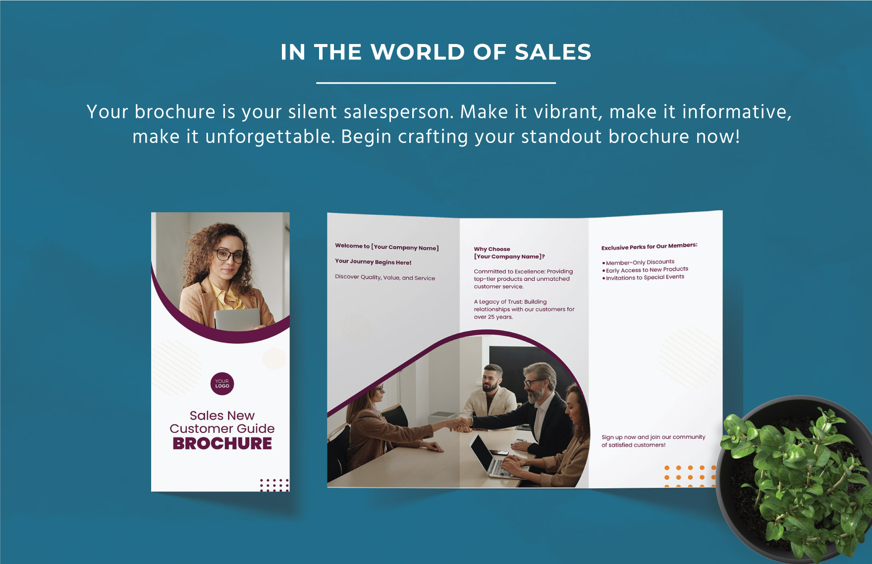 Sales New Customer Guide Brochure Template