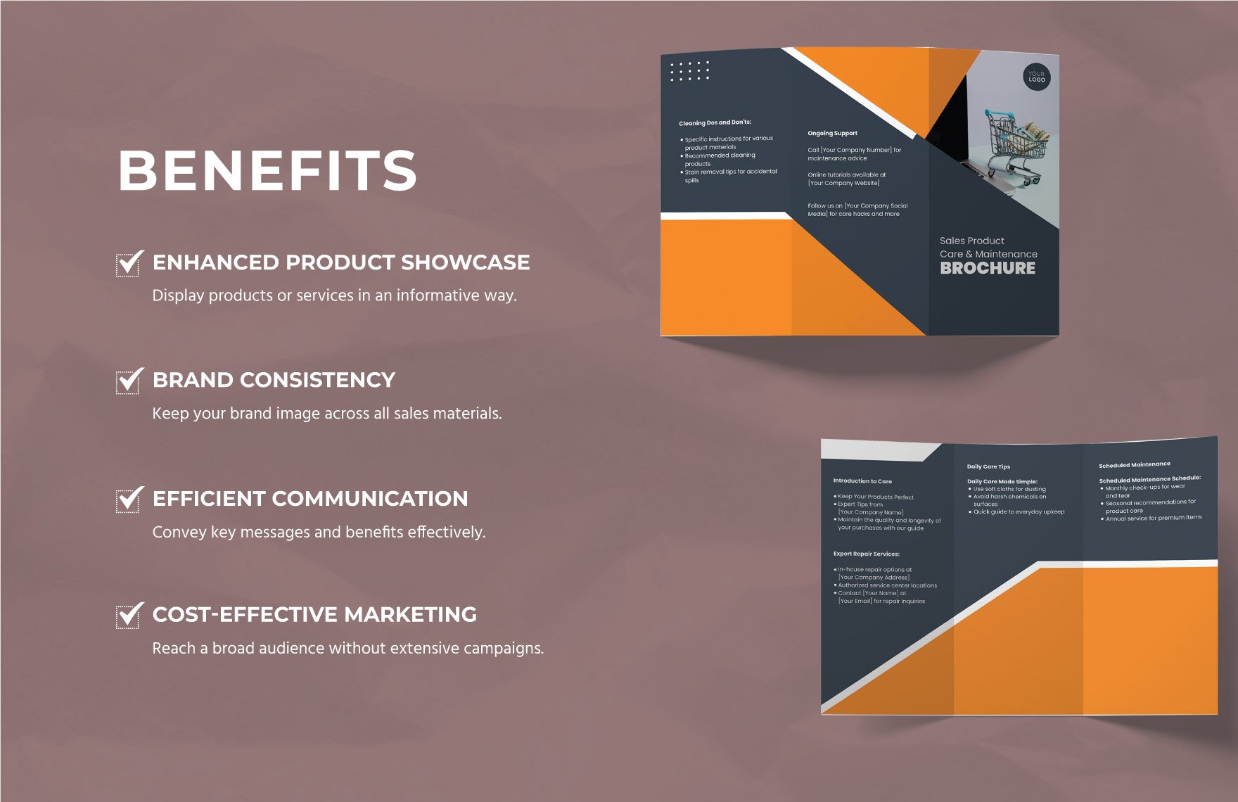 Sales Product Care and Maintenance Brochure Template