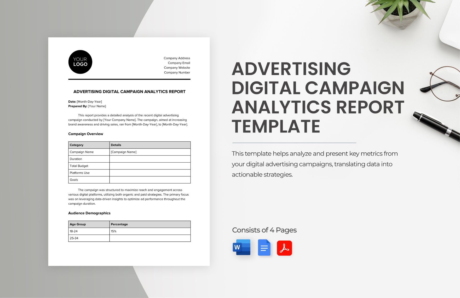 Advertising Digital Campaign Analytics Report Template
