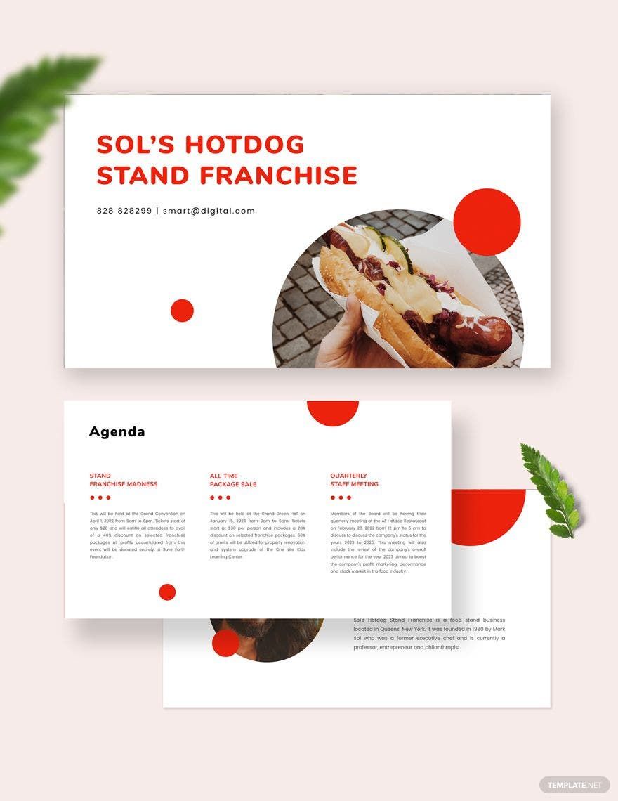 Franchise Business Plan Presentation Templates Google Slides Apple 