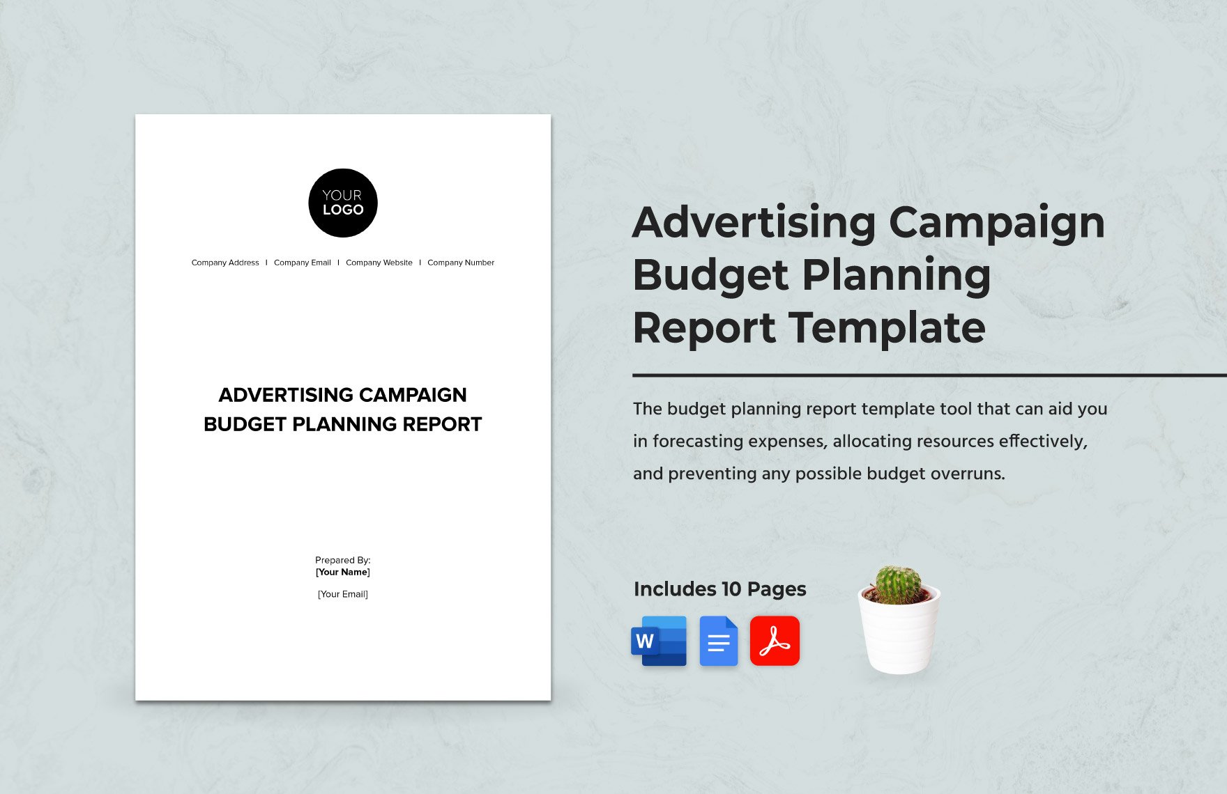 Advertising Campaign Budget Planning Report Template in Word, Google Docs, PDF