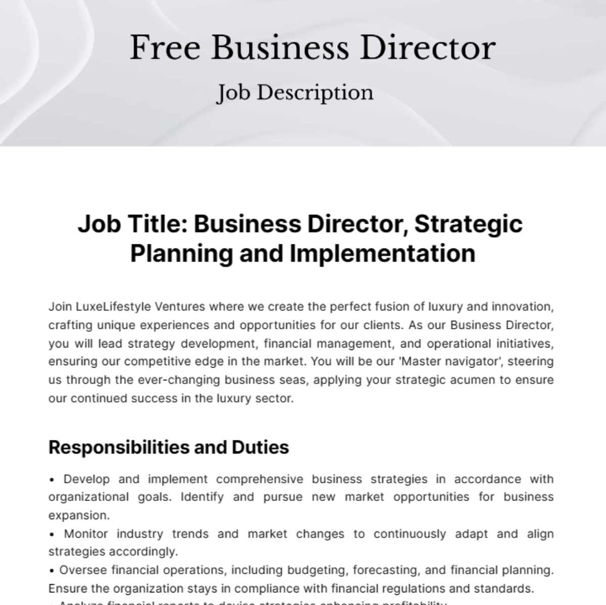 Business Director Job Description Template