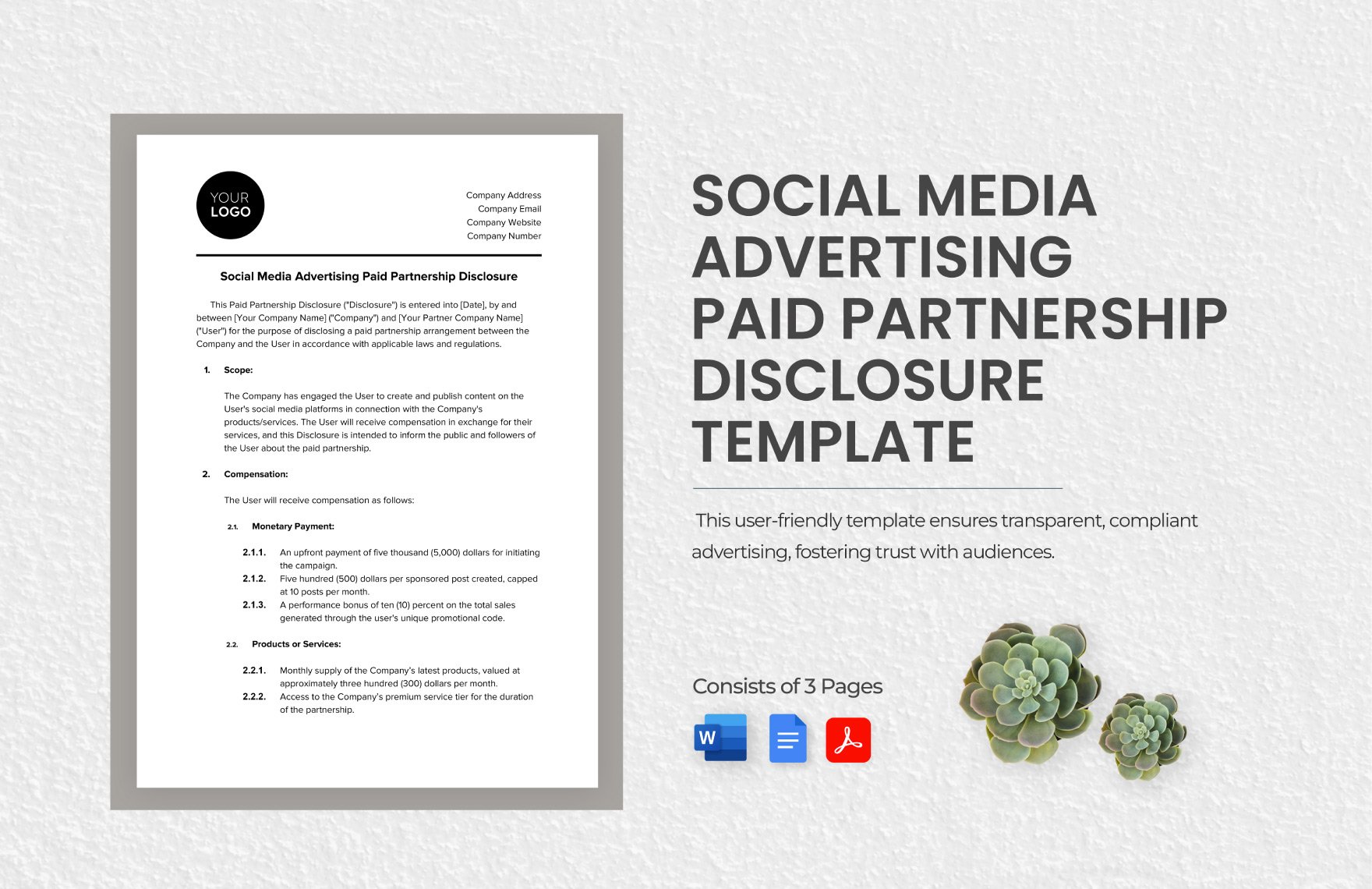 Social Media Advertising Paid Partnership Disclosure Template