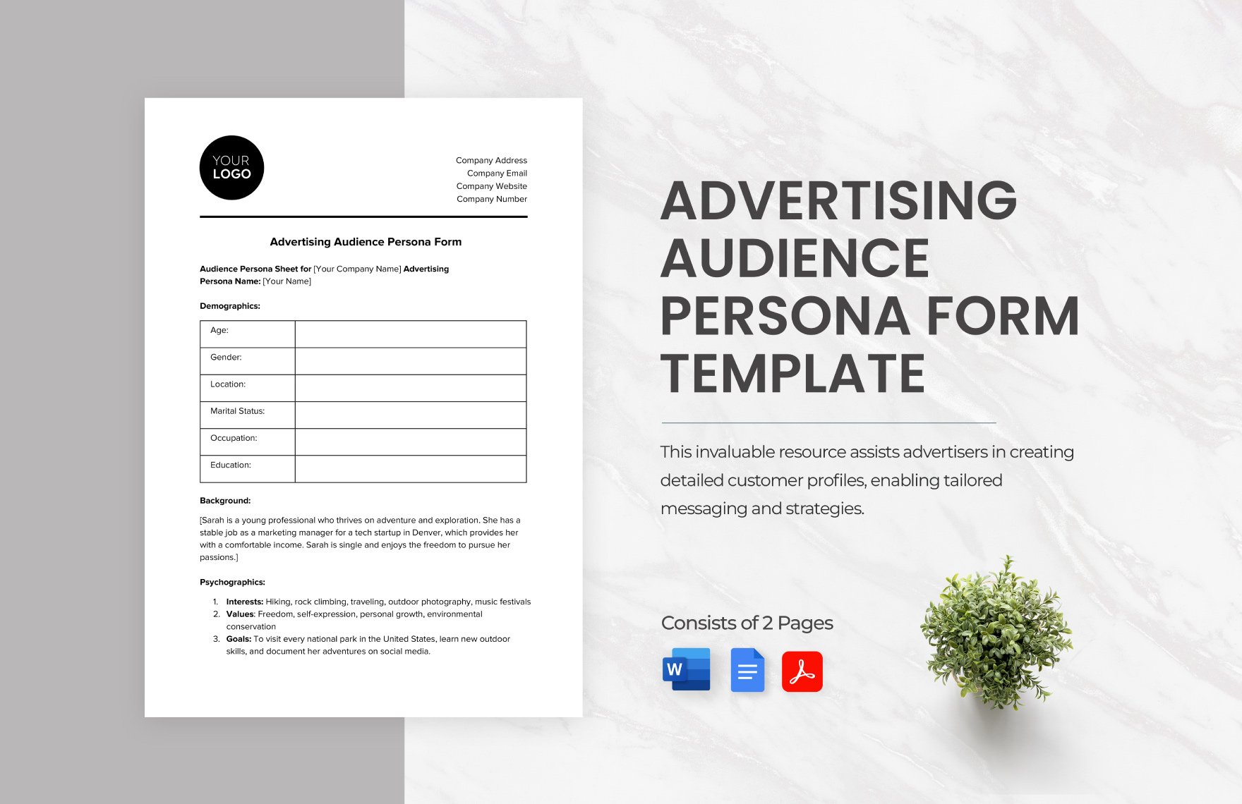 Advertising Audience Persona Form Template in Word, Google Docs, PDF