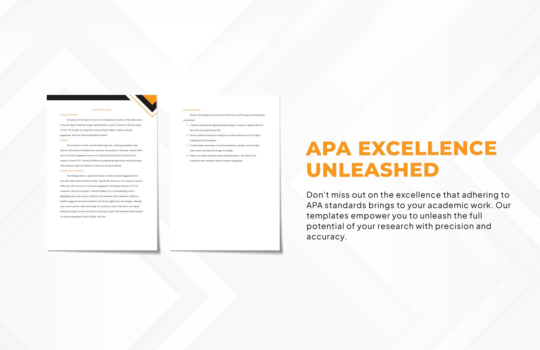APA Executive Summary Template
