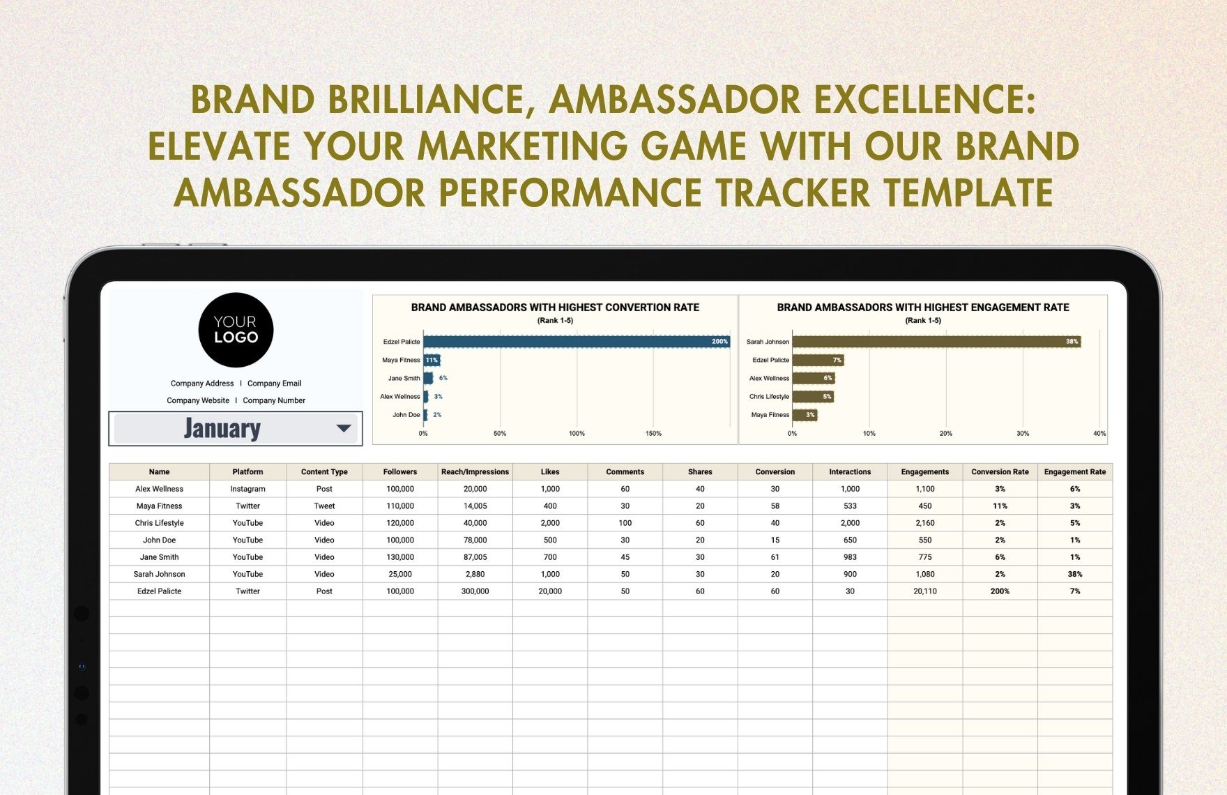 Marketing Brand Ambassador Performance Tracker Template