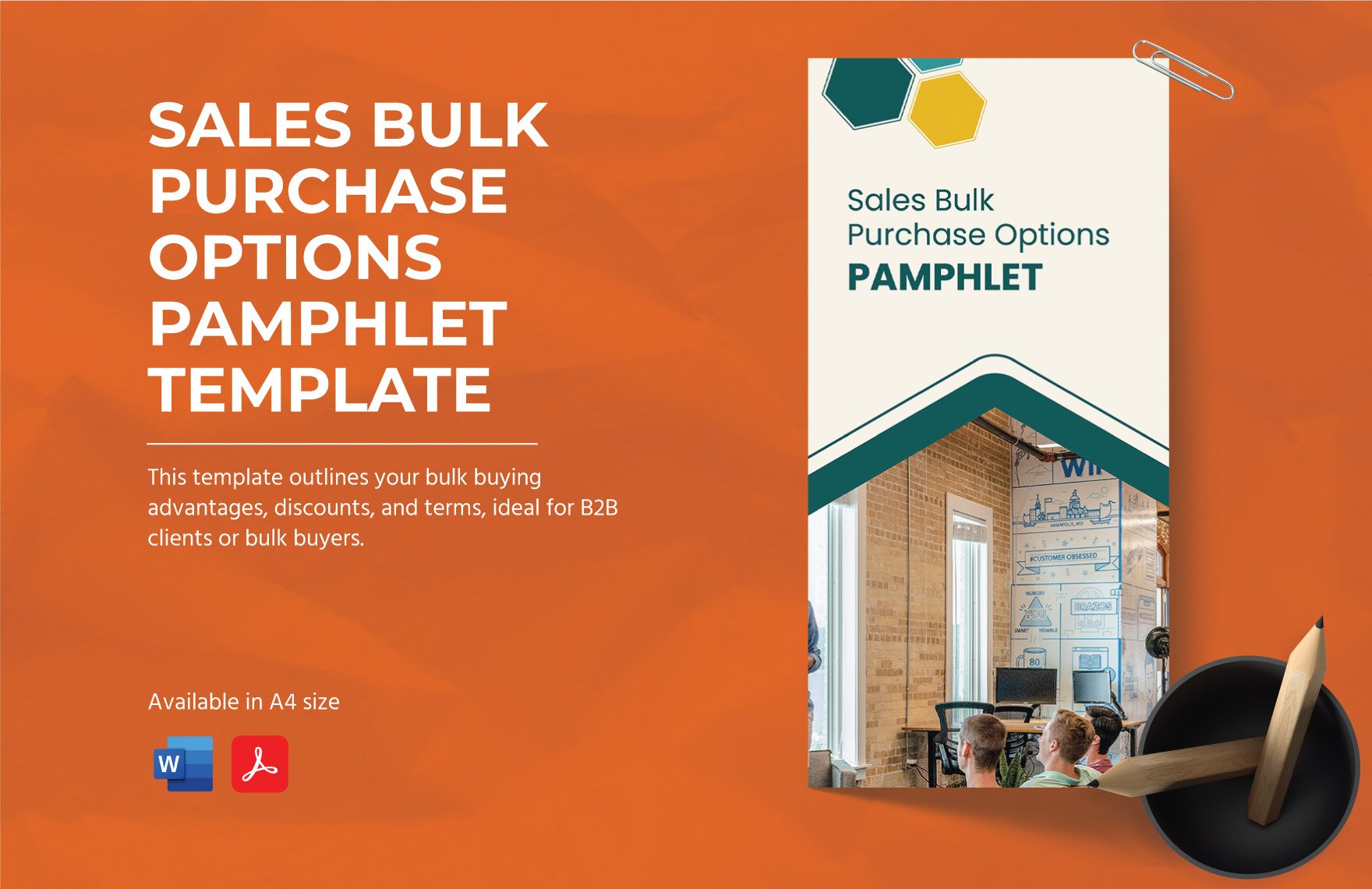 Sales Bulk Purchase Options Pamphlet Template