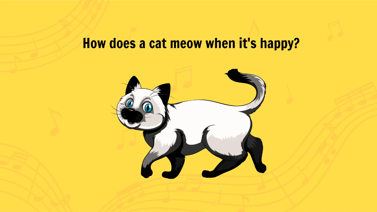 Free How Sounds Are Made Template to Edit Online