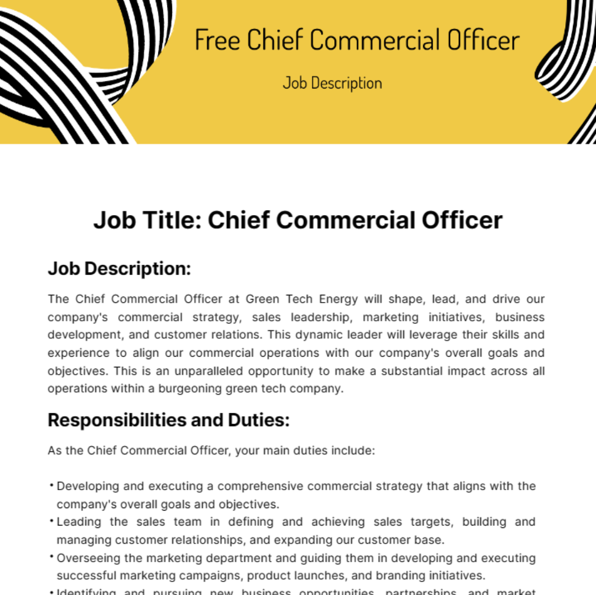 Chief Commercial Officer Job Description Template