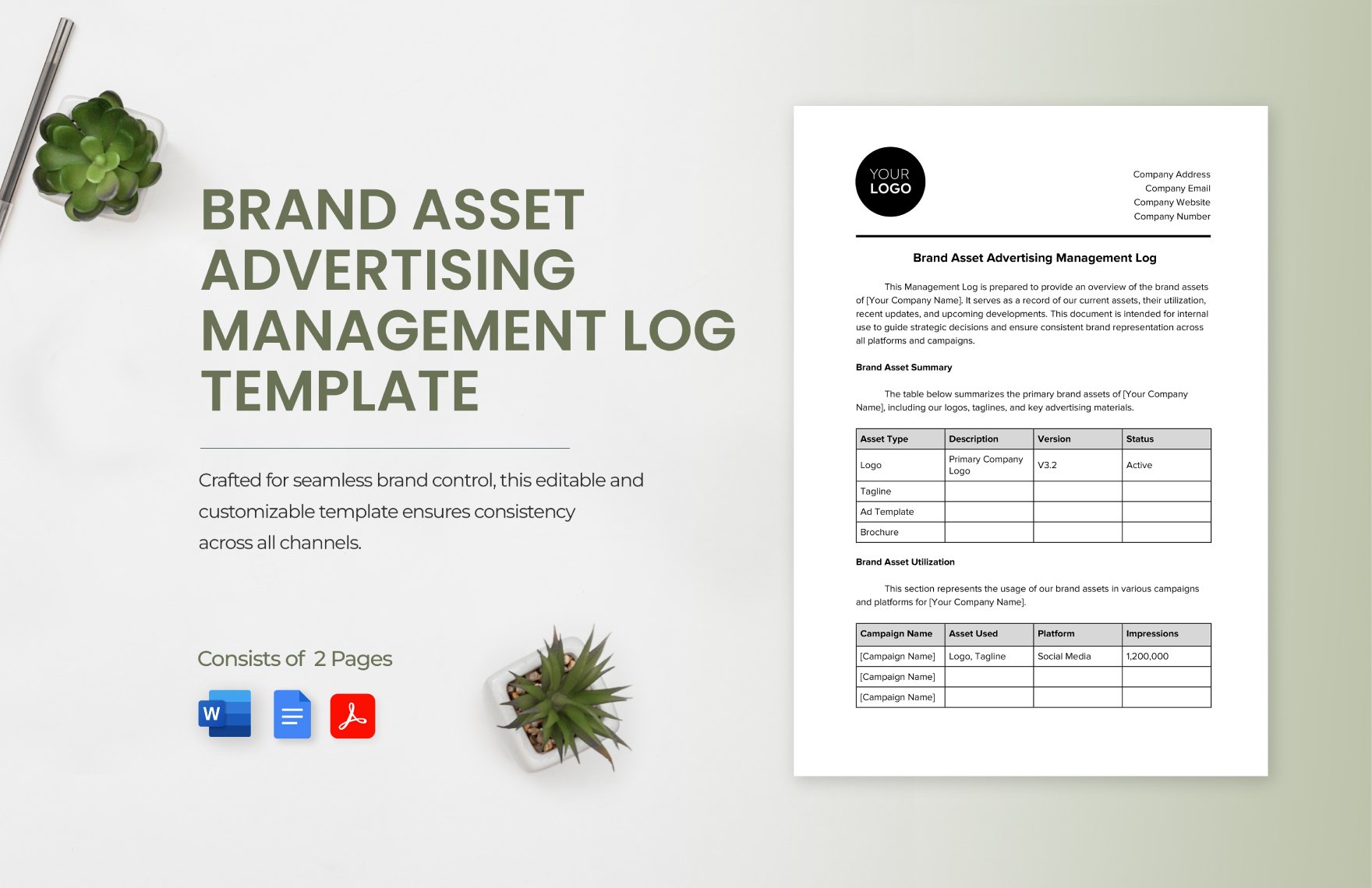 Brand Asset Advertising Management Log Template