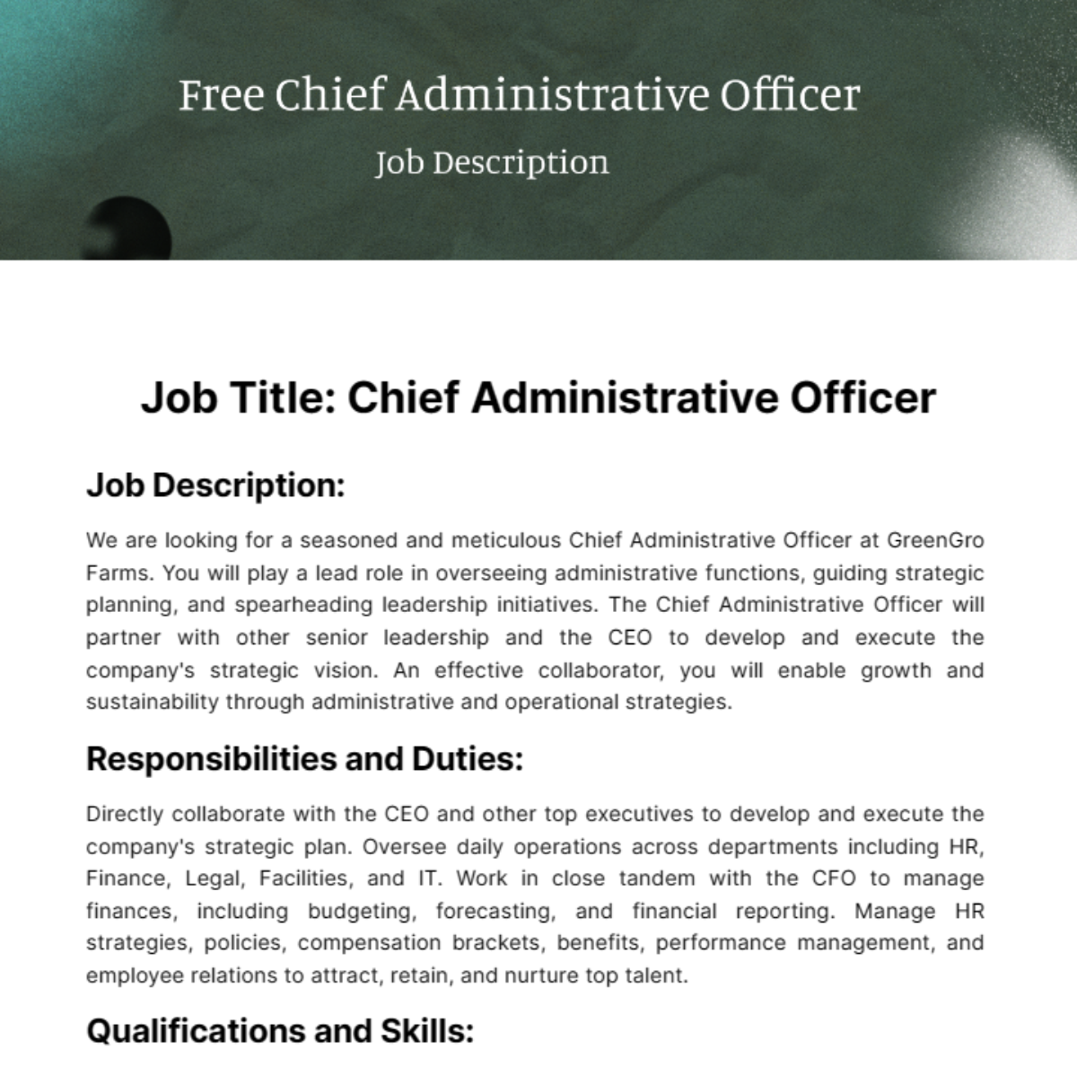 Chief Administrative Officer Job Description Template