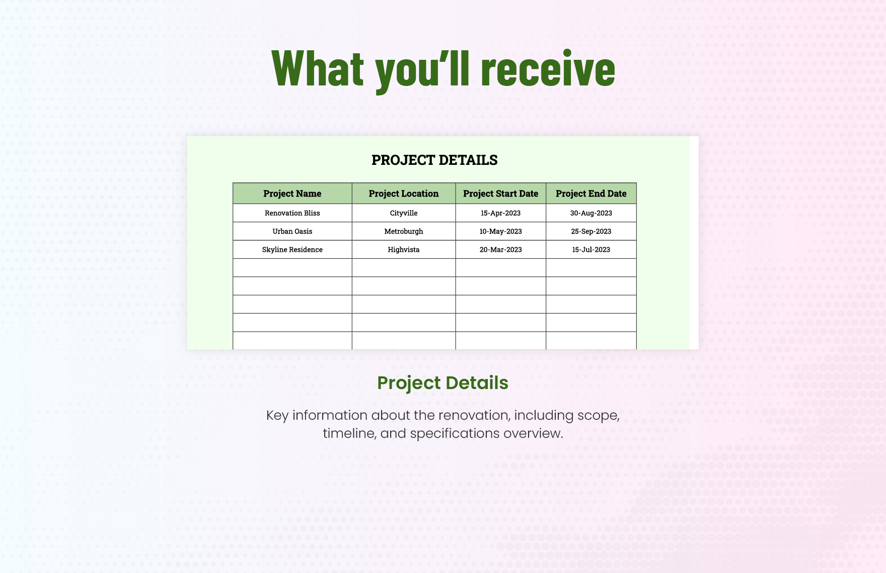 Home Renovation Project Budget Template