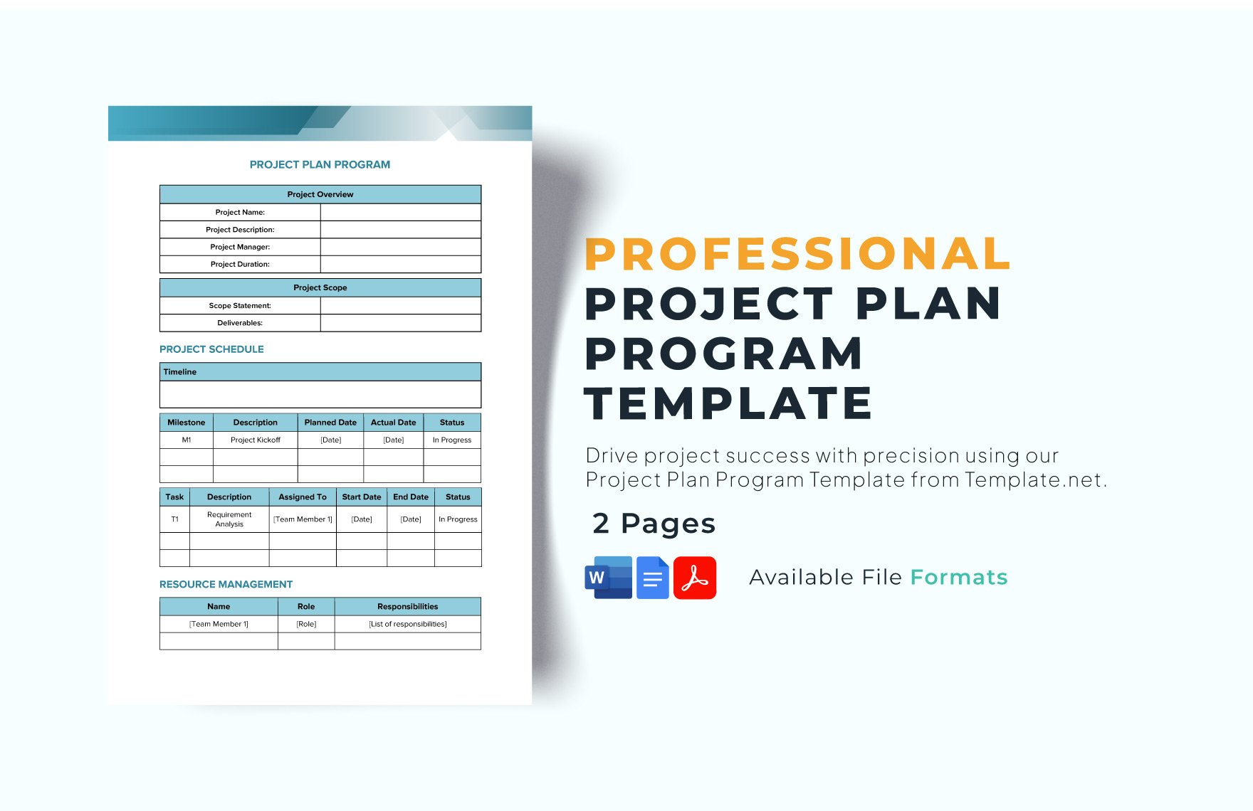 Project Plan Program Template in Word, Google Docs, PDF
