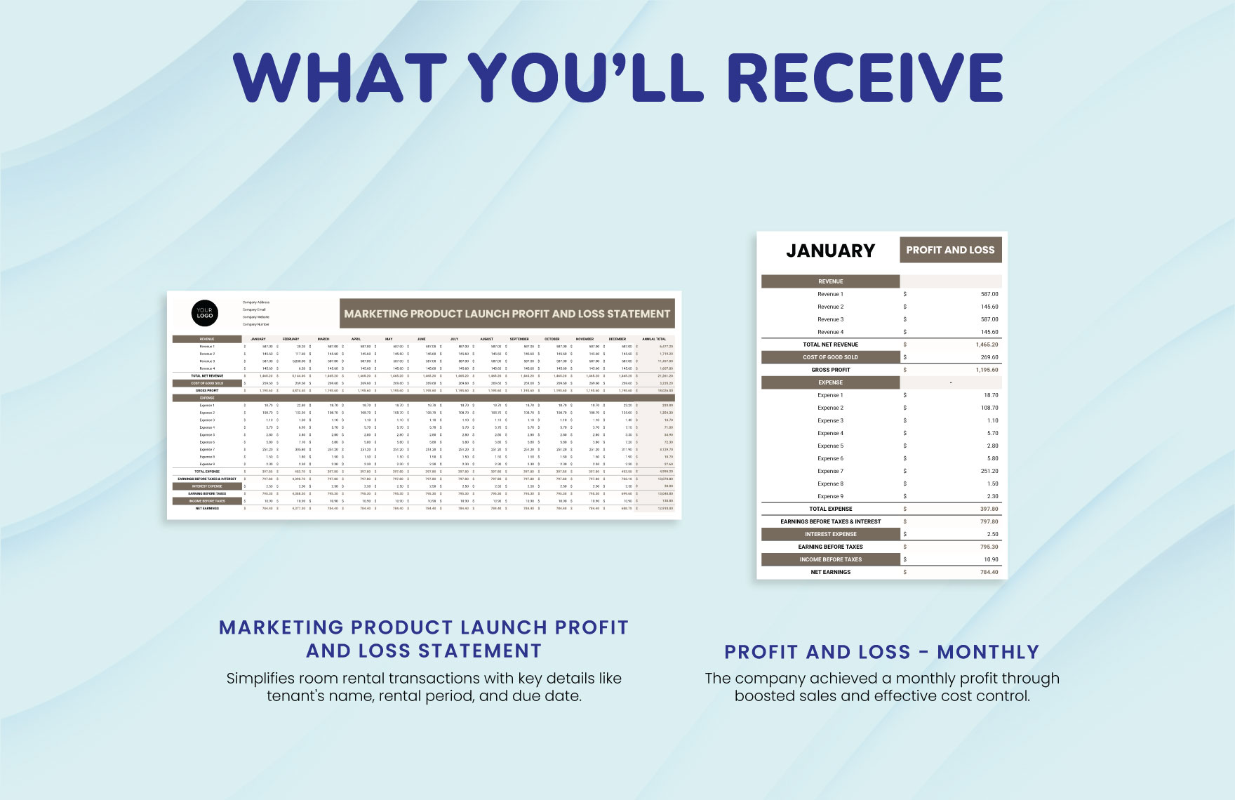 Marketing Product Launch Profit and Loss Statement Template