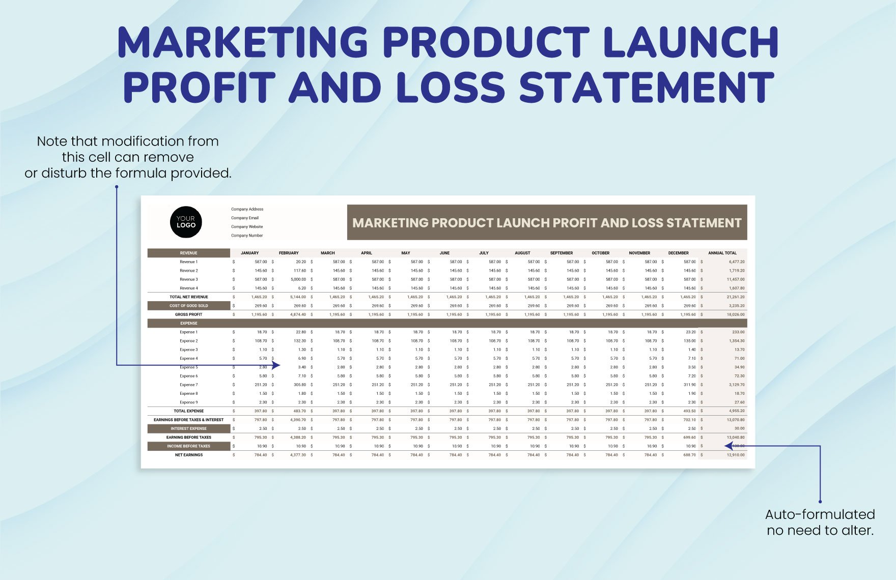 Marketing Product Launch Profit and Loss Statement Template