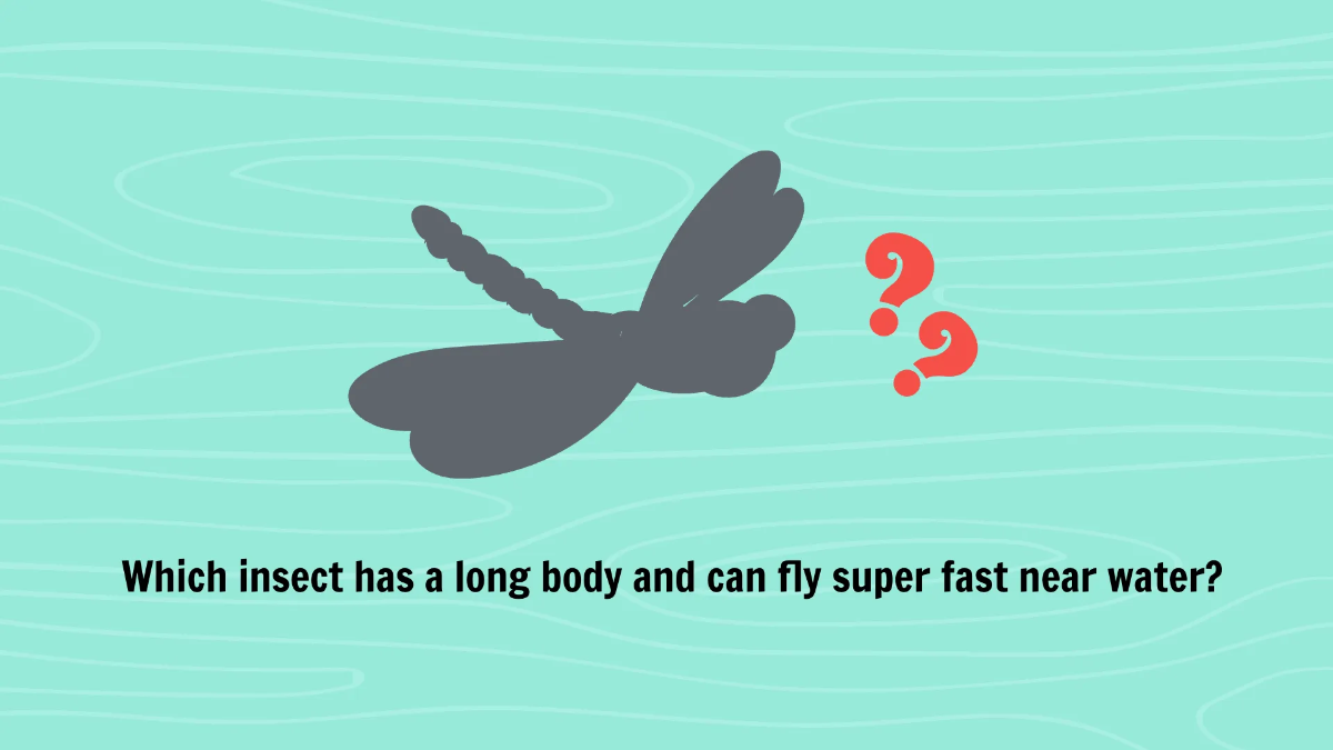 Free Common Insects and Their Characteristics Template to Edit Online