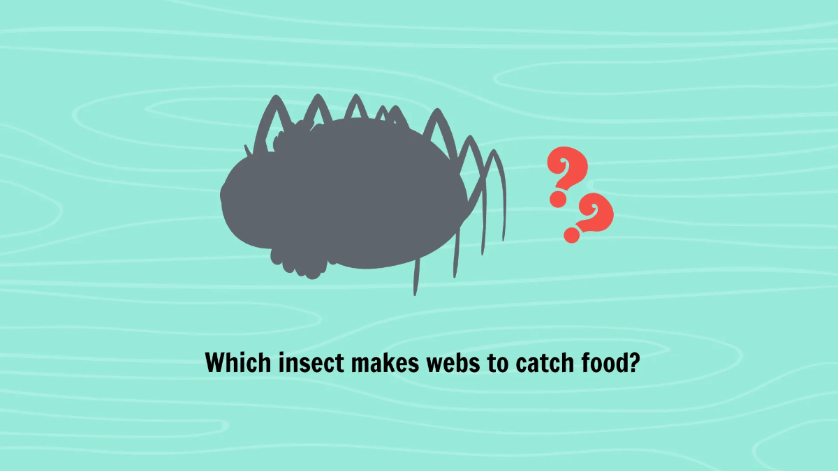 Free Common Insects and Their Characteristics Template to Edit Online