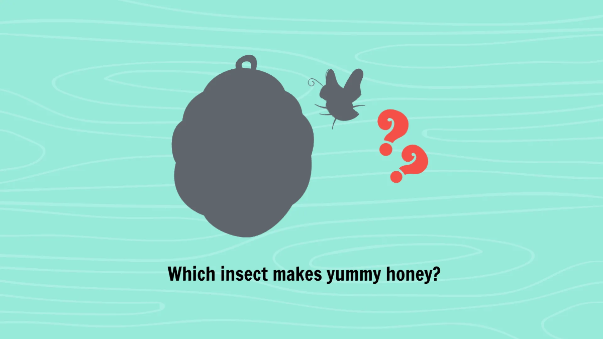 Free Common Insects and Their Characteristics Template to Edit Online