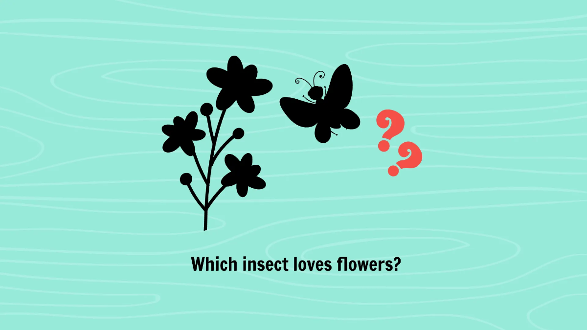 Free Common Insects and Their Characteristics Template to Edit Online