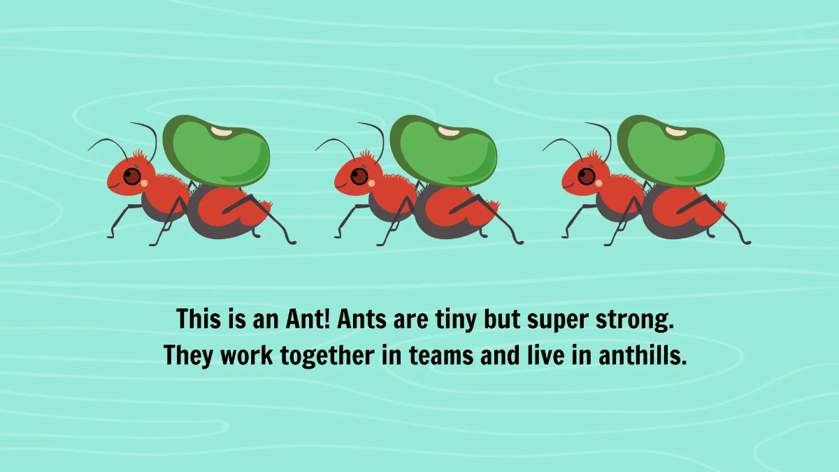 Free Common Insects and Their Characteristics Template to Edit Online