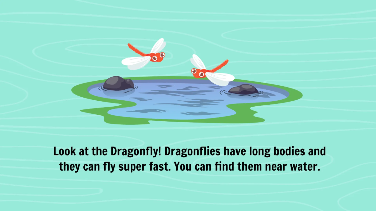 Free Common Insects and Their Characteristics Template to Edit Online