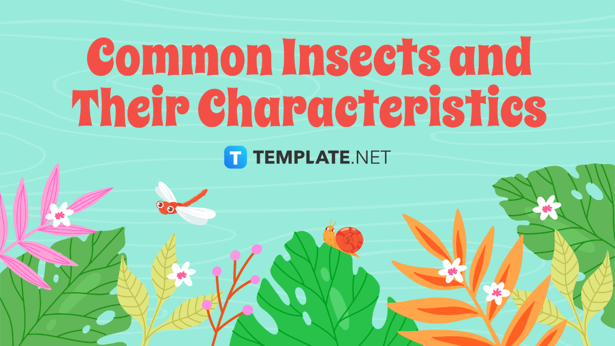Common Insects and Their Characteristics