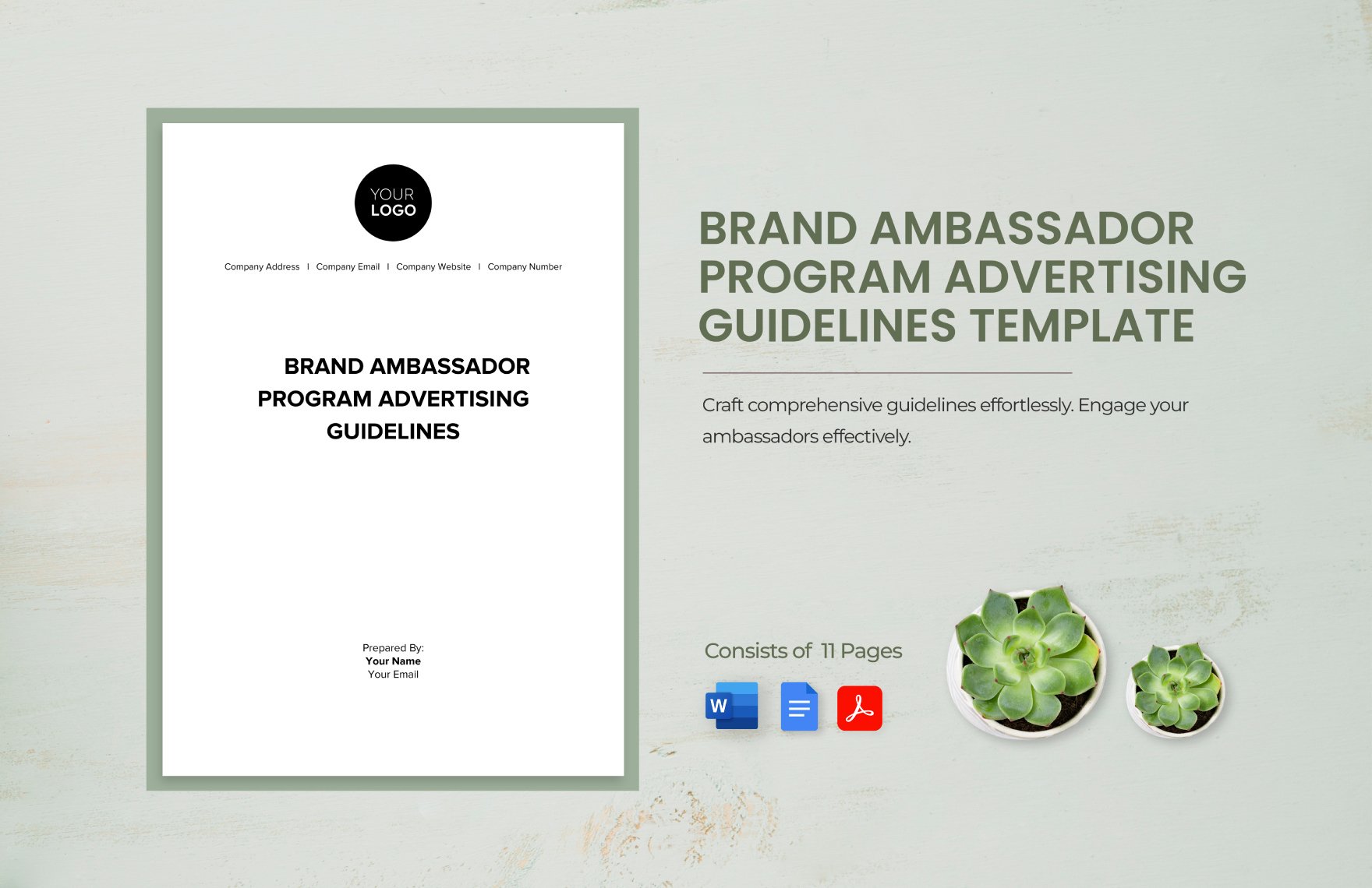 Brand Ambassador Program Advertising Guidelines Template