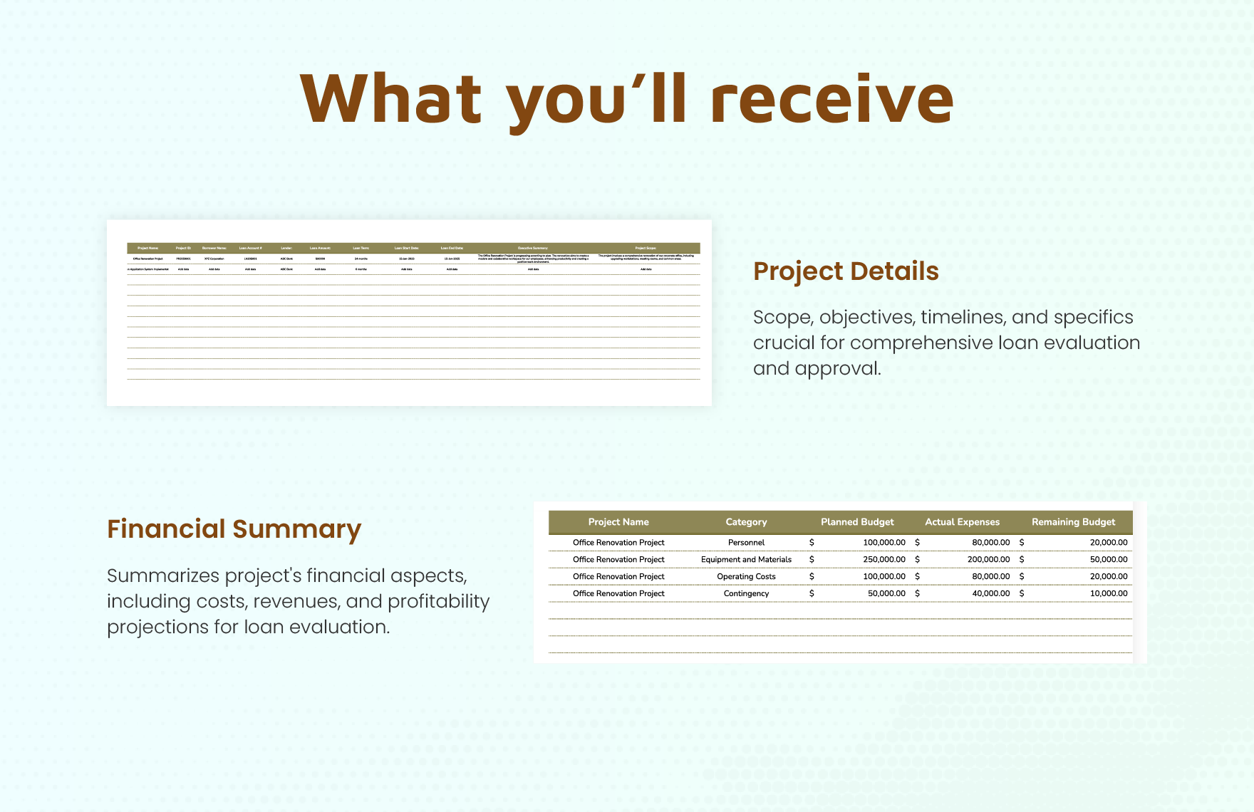 Project Report for Loan Template