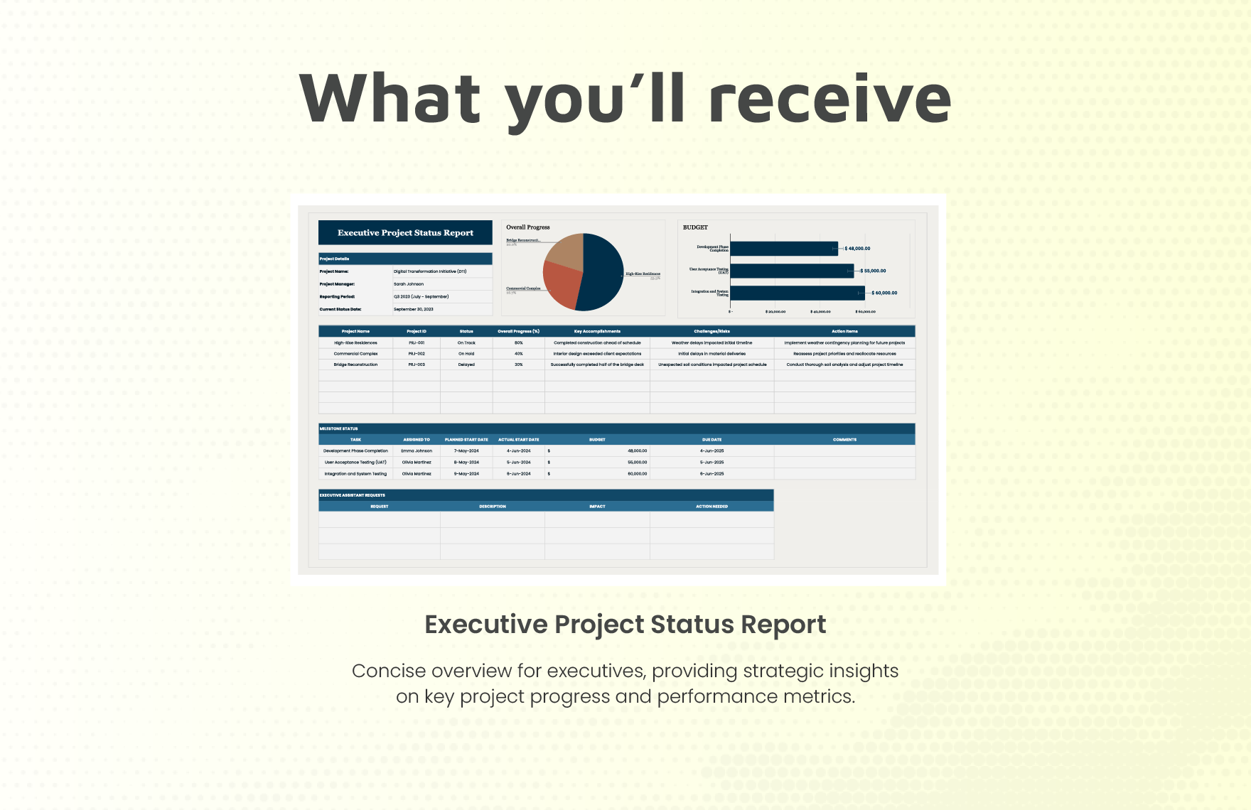 Executive Project Status Report Template