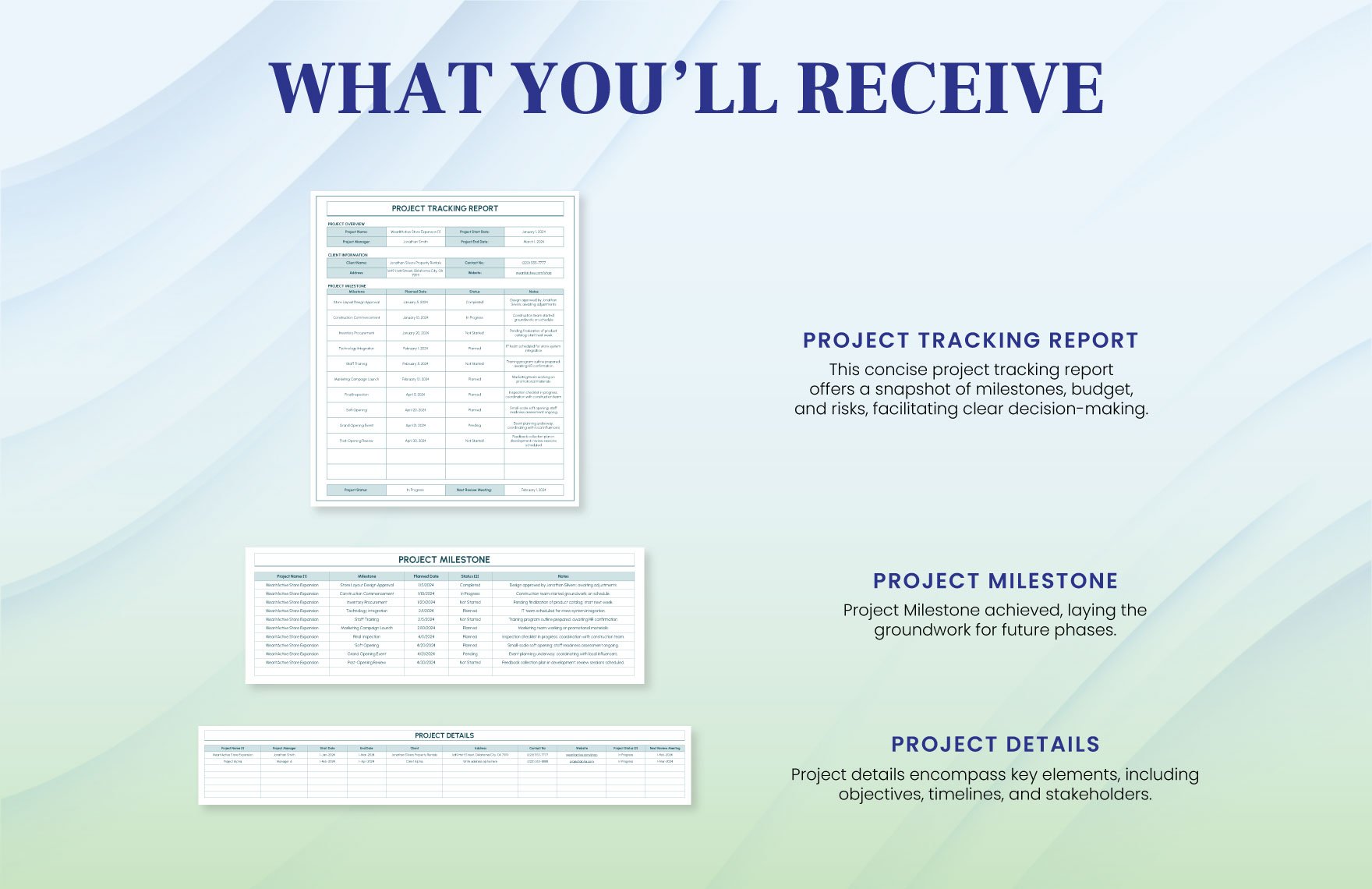 Project Tracking Report Template