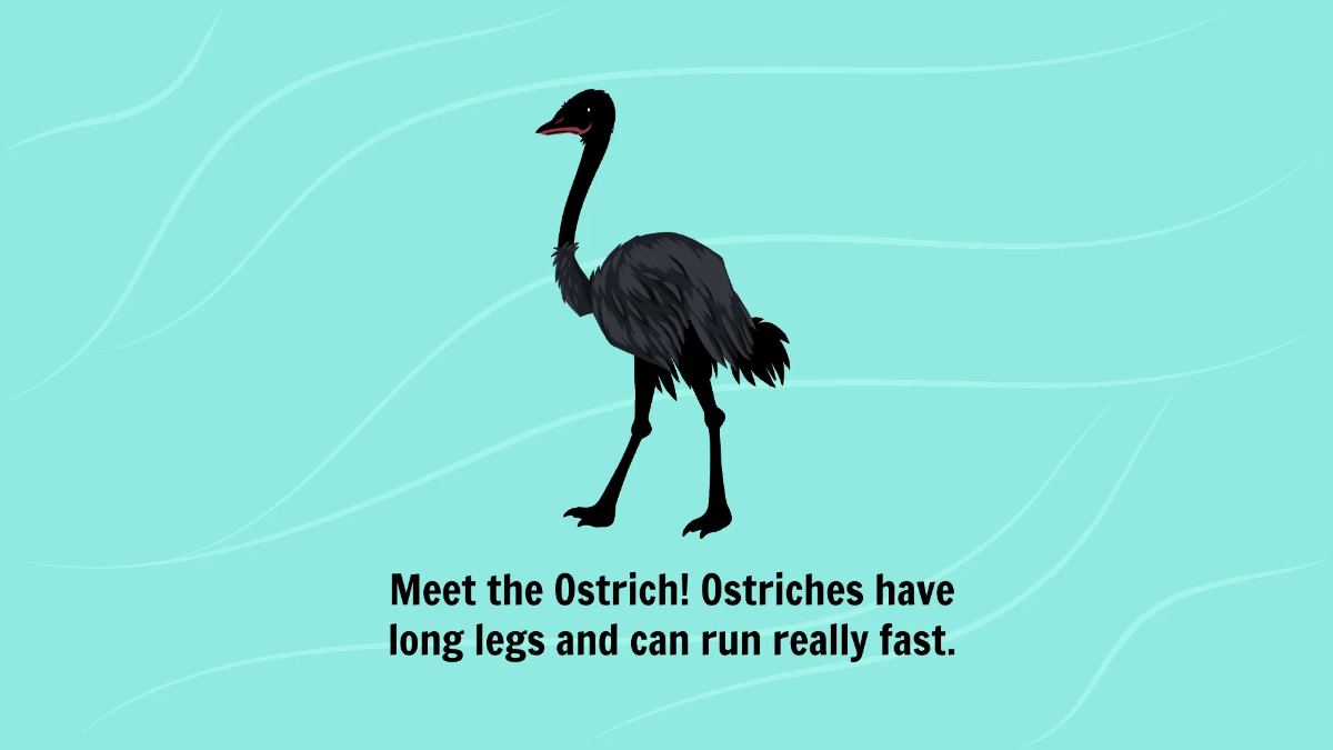 Free Introduction to Different Types of Birds Template to Edit Online