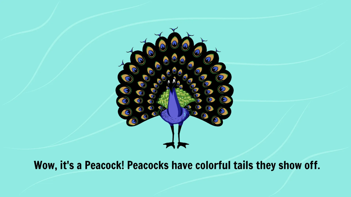 Free Introduction to Different Types of Birds Template to Edit Online