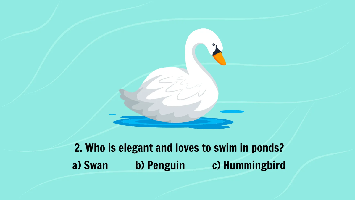 Free Introduction to Different Types of Birds Template to Edit Online