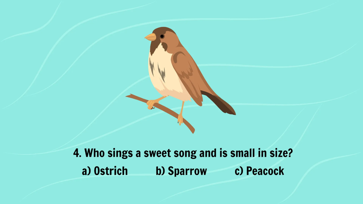 Free Introduction to Different Types of Birds Template to Edit Online