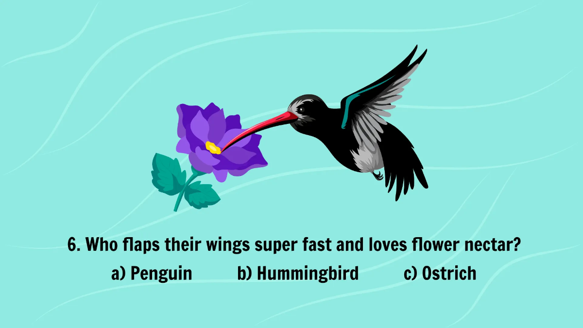 Free Introduction to Different Types of Birds Template to Edit Online