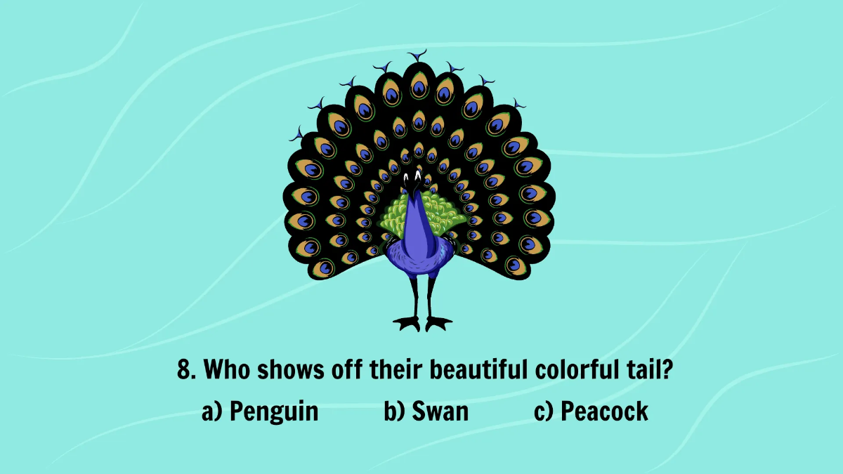 Free Introduction to Different Types of Birds Template to Edit Online