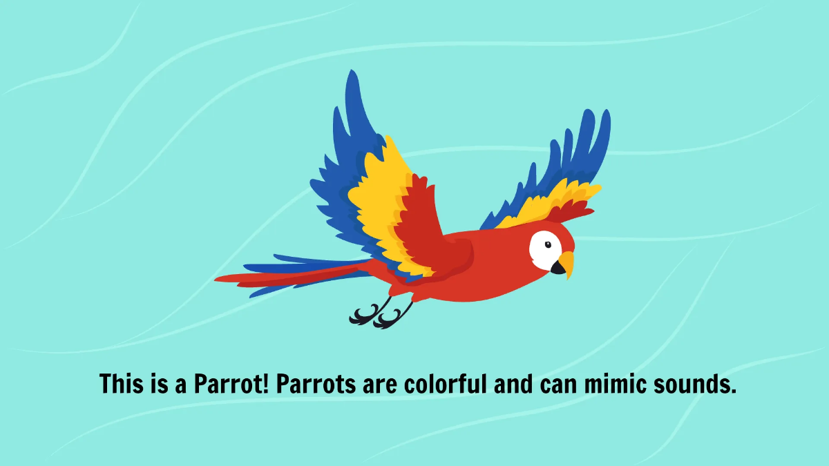 Free Introduction to Different Types of Birds Template to Edit Online